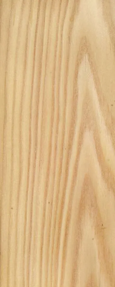Larch (FC4) main