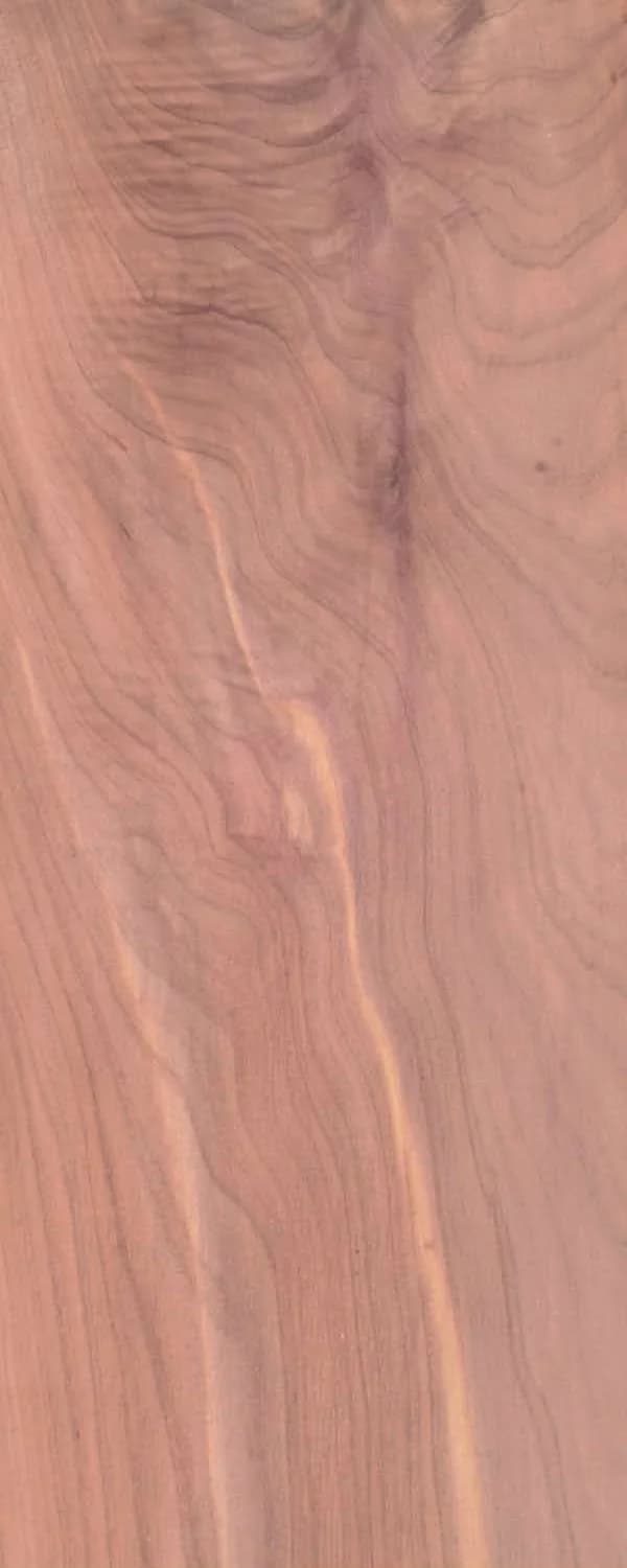 Lebanese Cedar (FC4) main