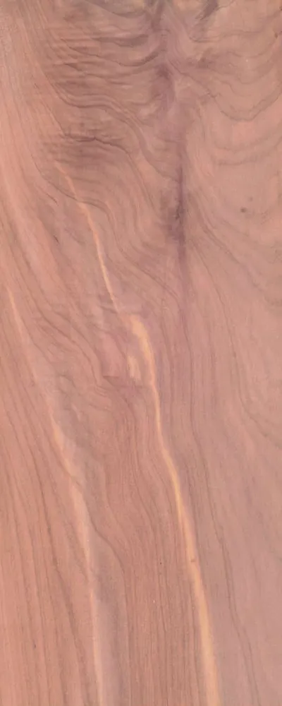 Lebanese Cedar (FC4) main