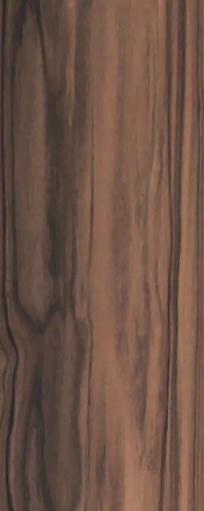 Macassar Ebony (FC4) main