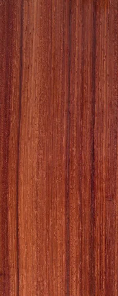 Padauk (FC4) main