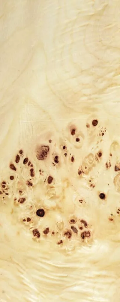 Poplar Burl (FC4) main