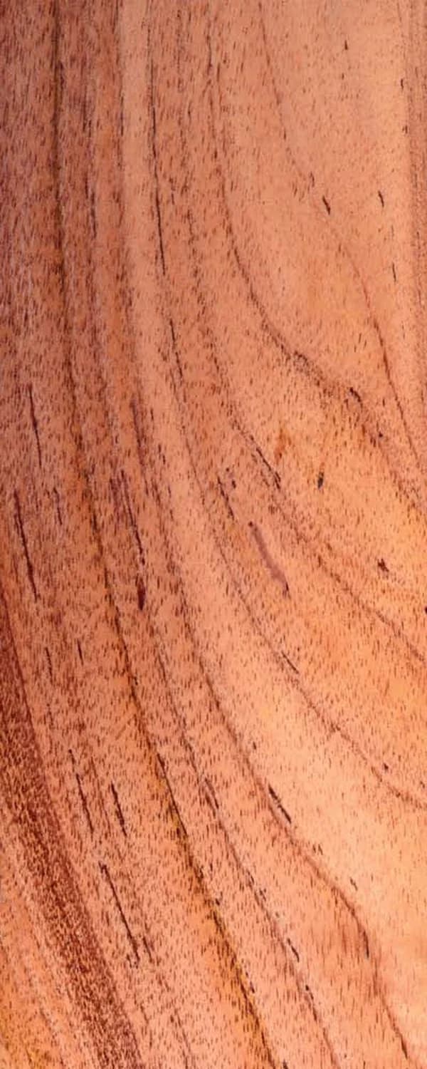 Red Cedar (FC4) main