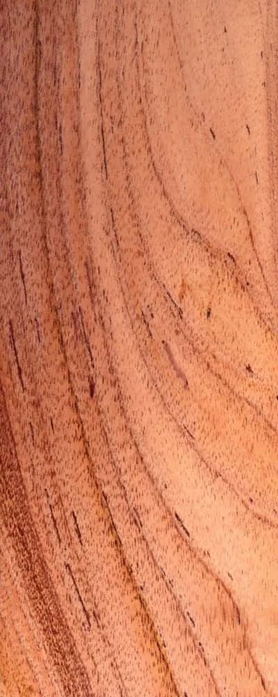 Red Cedar (FC4) main