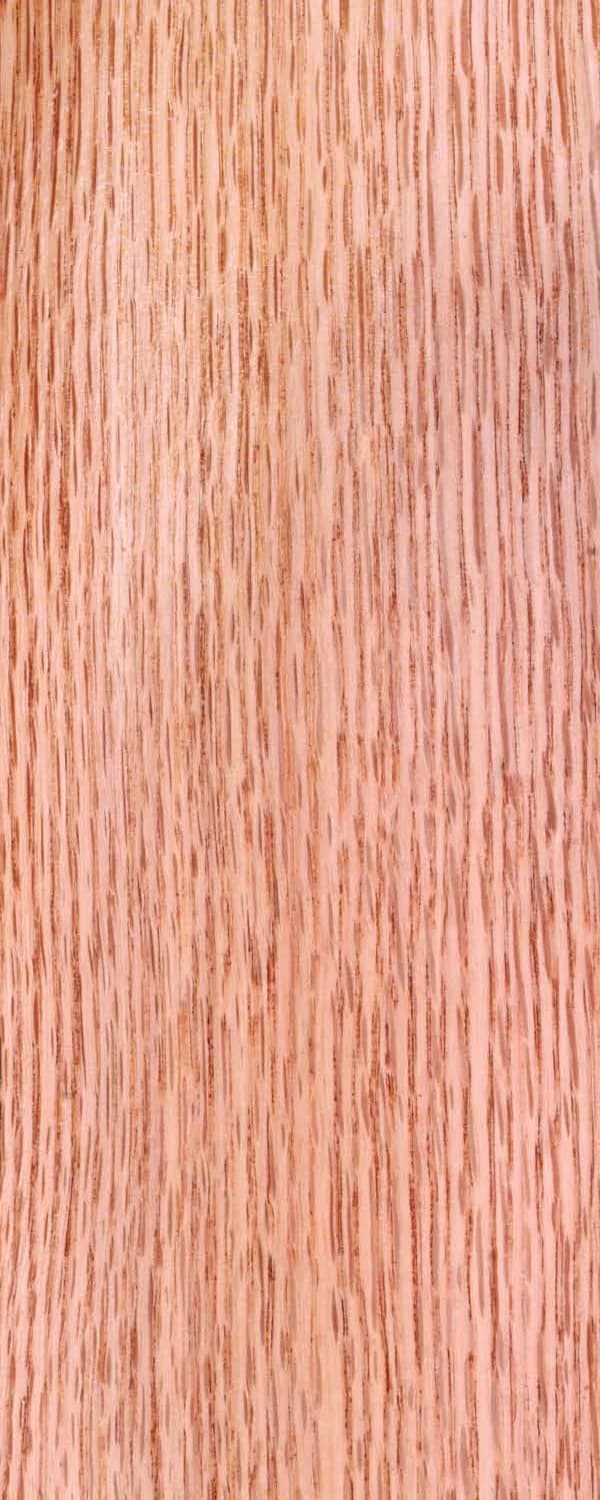 Red Oak (FC4) main
