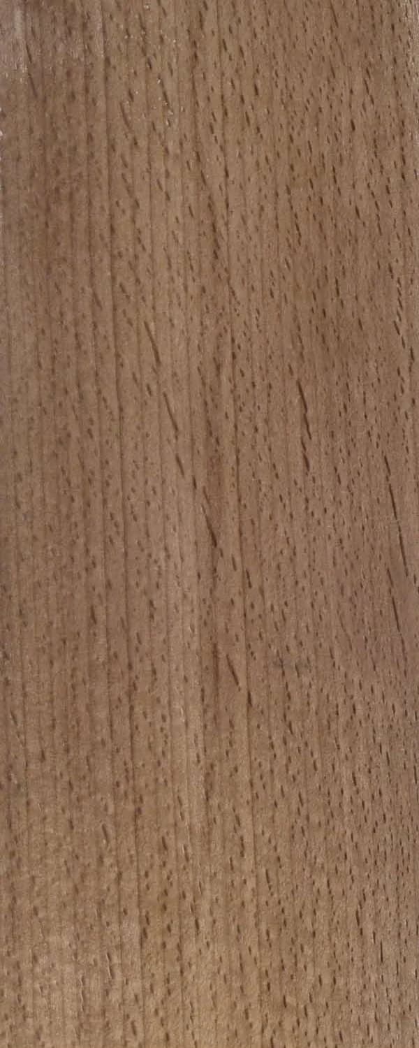 Robusta (FC4) main