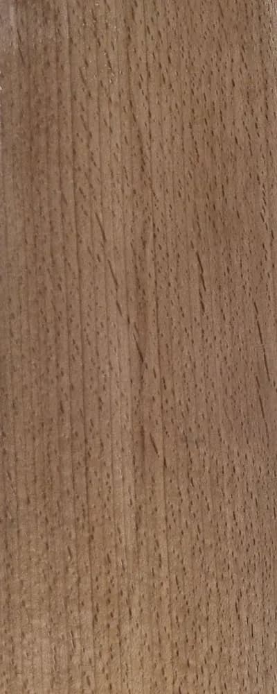 Robusta (FC4) main