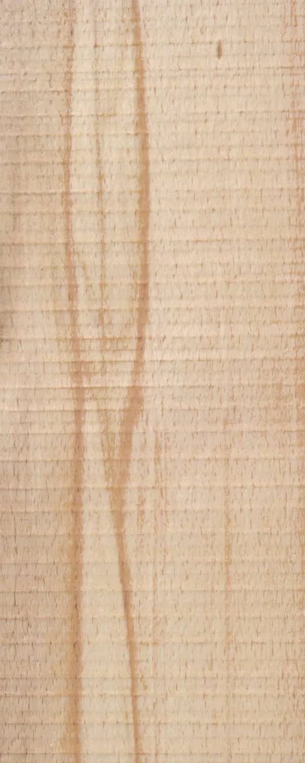 Rough Olive Beech (FC4) main