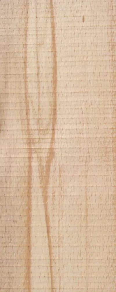 Rough Olive Beech (FC4) main