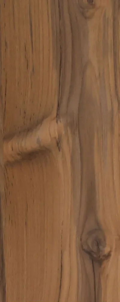 Spalted Teak (FC4) main