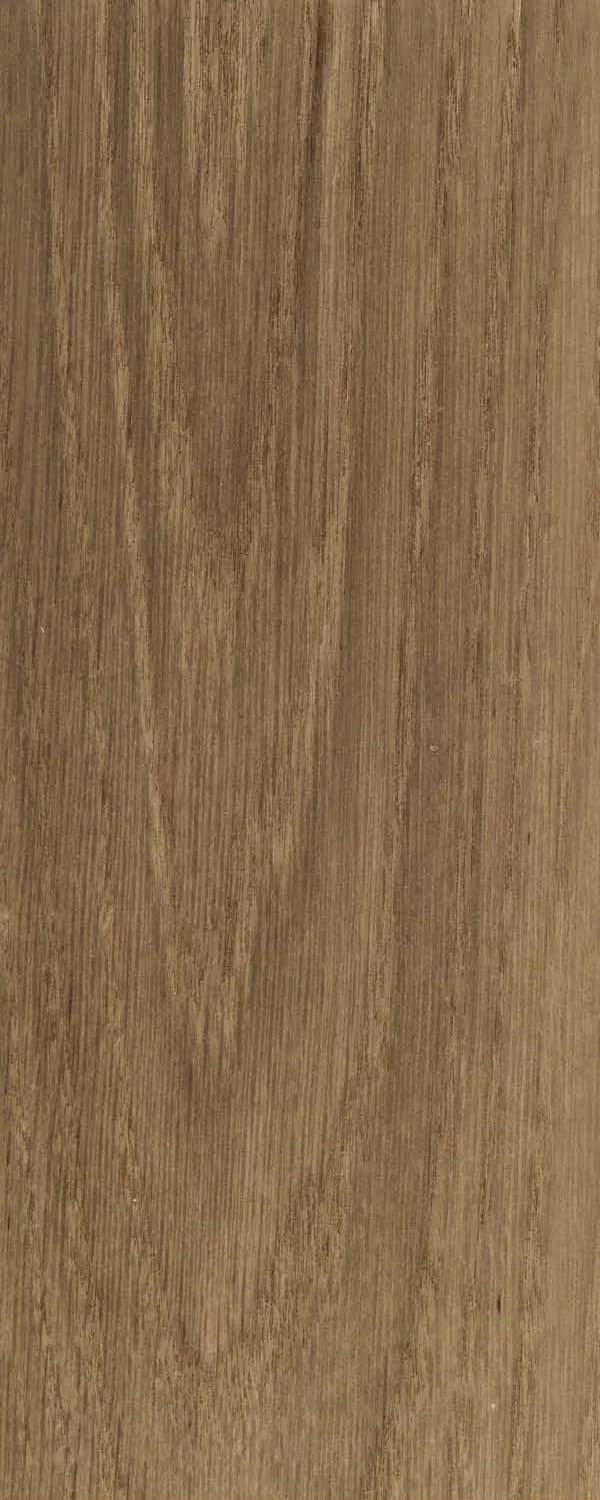 Tan Oak (FC4) main