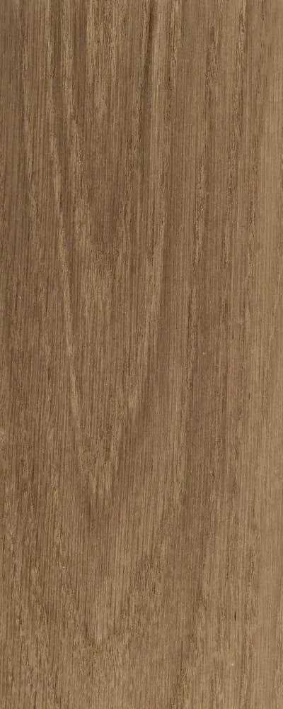 Tan Oak (FC4) main