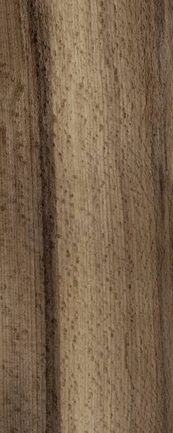 Thermo Robusta (FC4) main