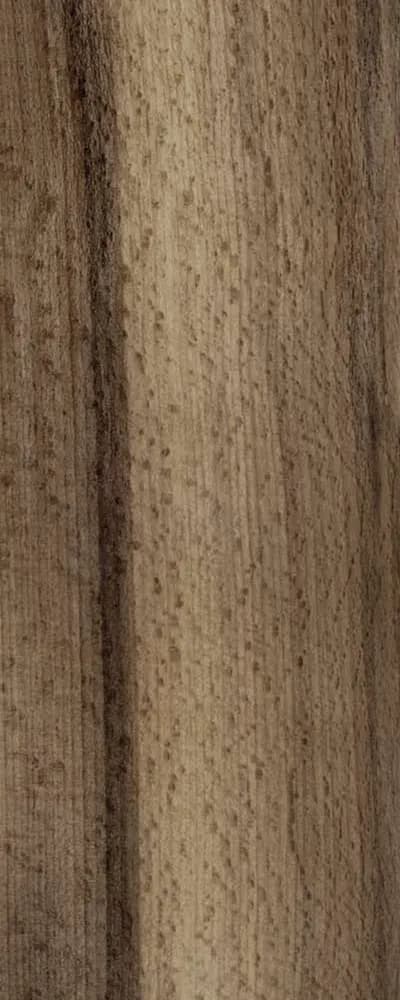 Thermo Robusta (FC4) main