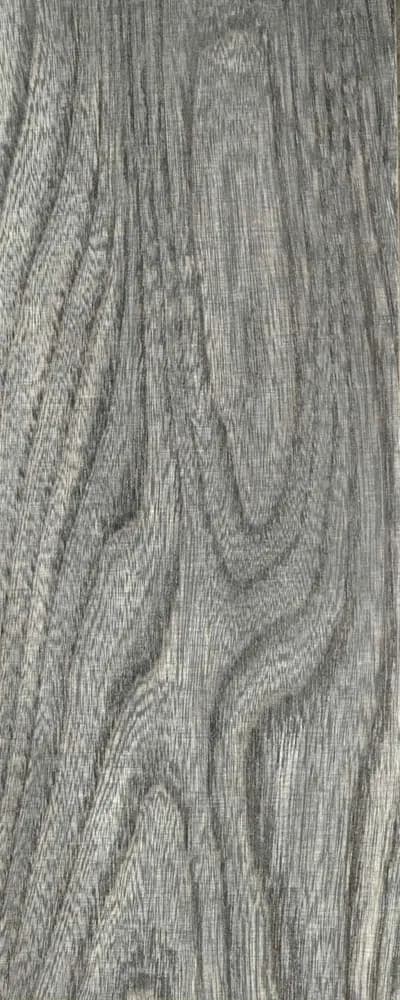 Torched Hagburry (FC4) main