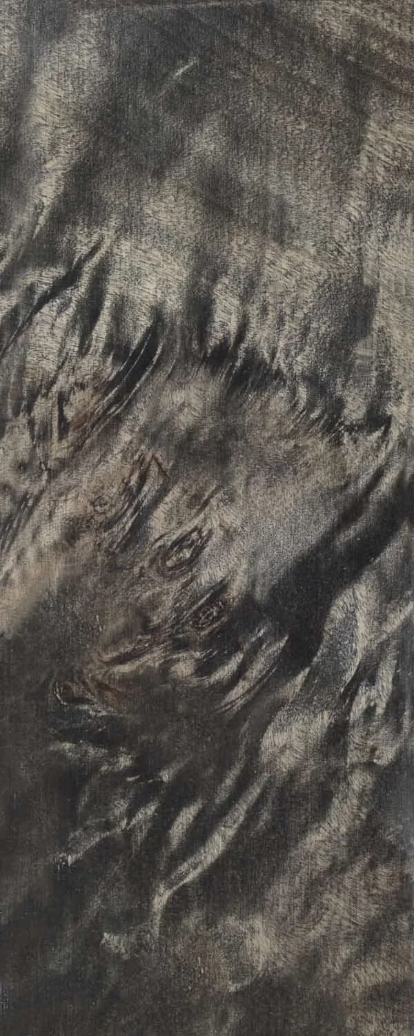 Torched Poplar Burl (FC4) main