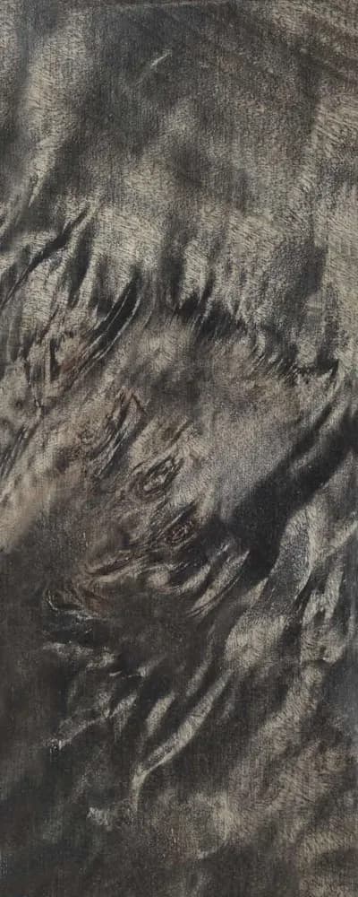 Torched Poplar Burl (FC4) main