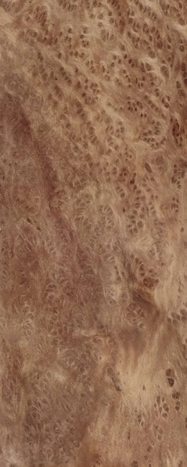 Vavona Burl (FC4) main