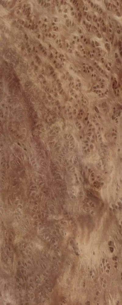 Vavona Burl (FC4) main