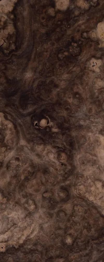 Walnut Burl (FC4) main
