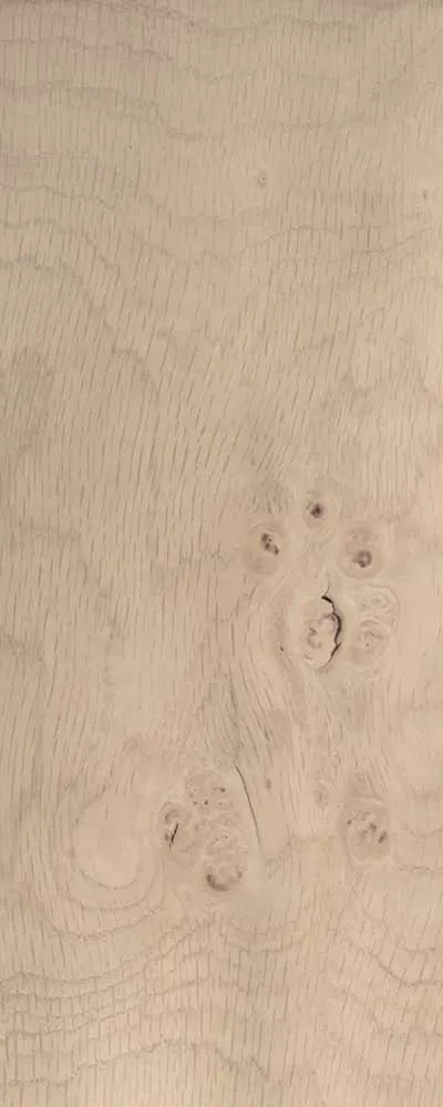 White Oak Burl (FC4) main