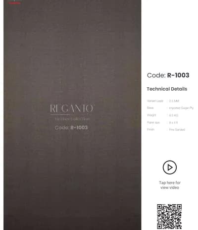 Reganto R-1003 main