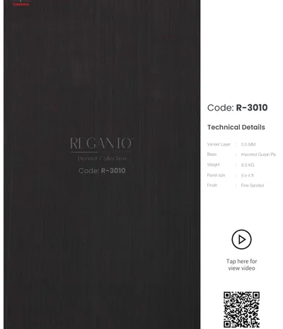 Reganto R-3010 main
