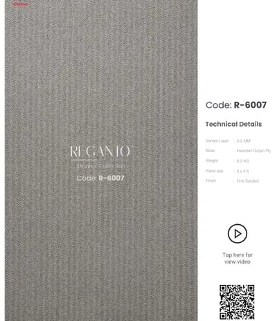 Reganto R-6007 main