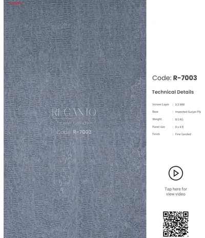 Reganto R-7003 main