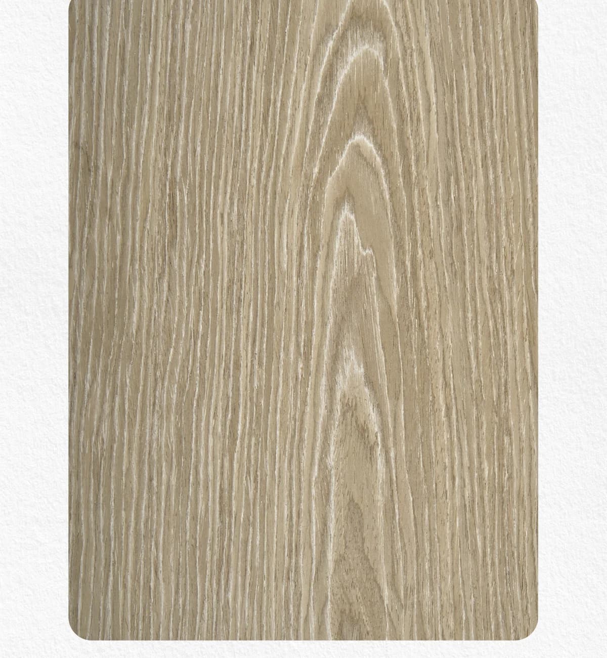 Splendor 060 main