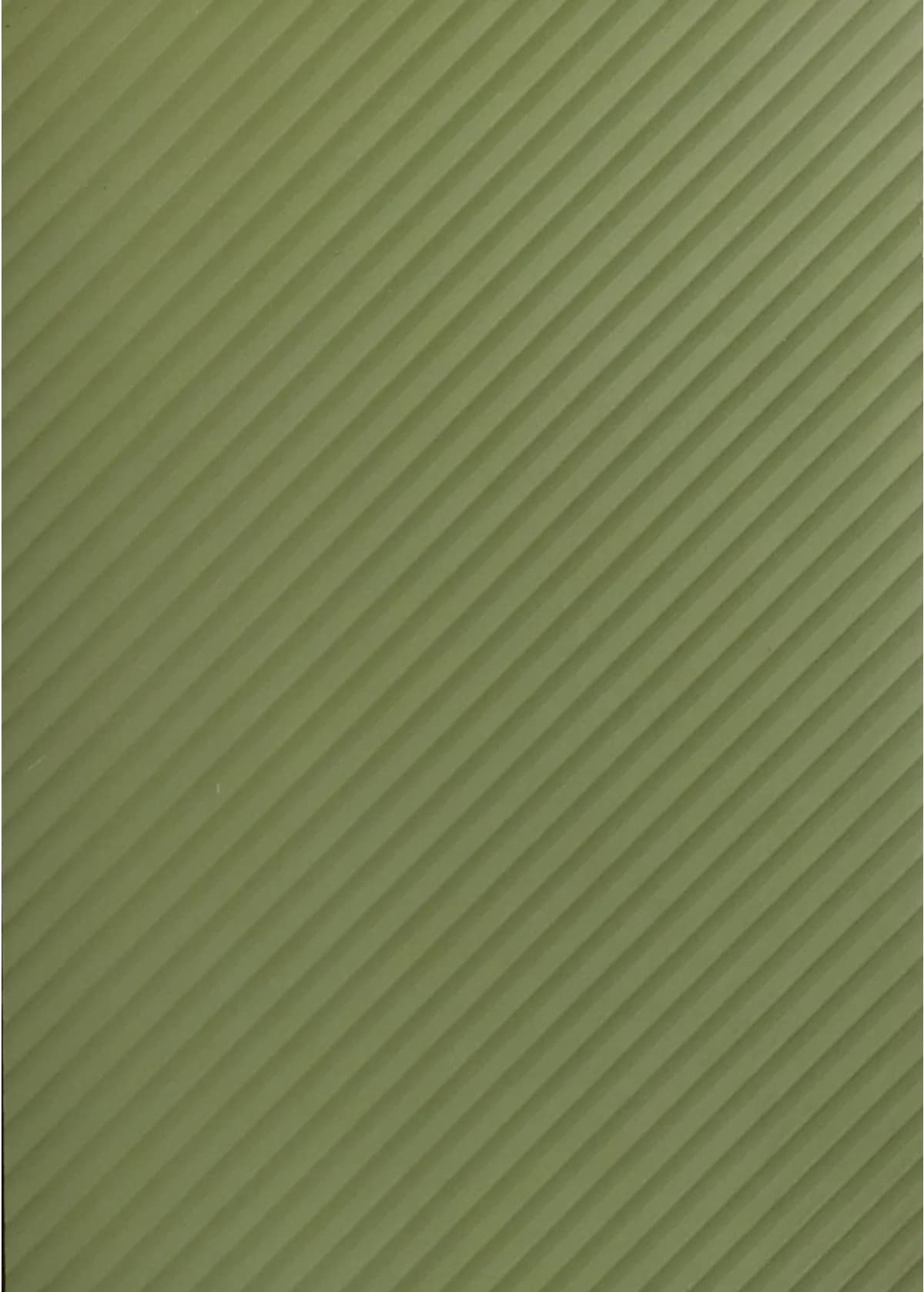 Lotus AA 198 main