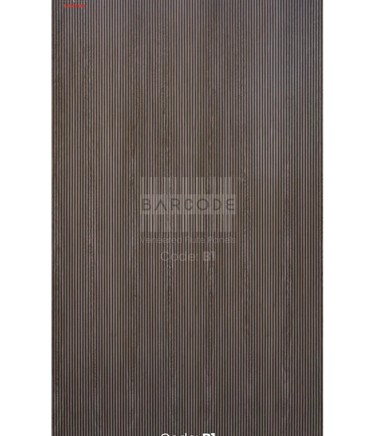 Barcode B1 main