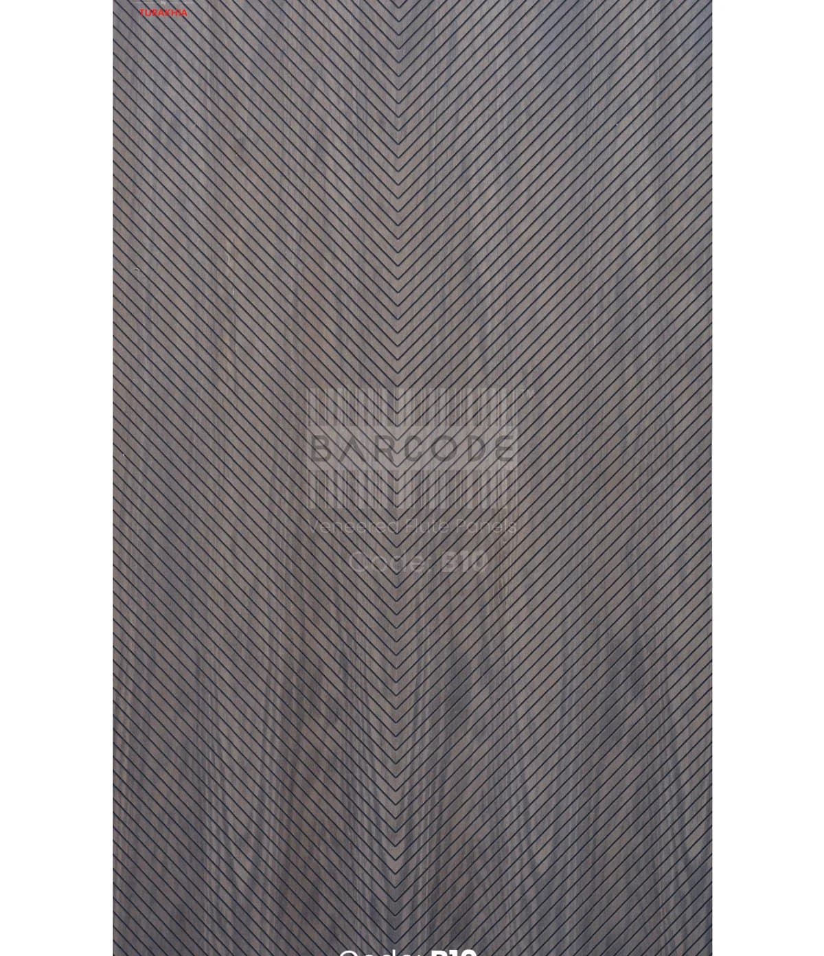 Barcode B10 main