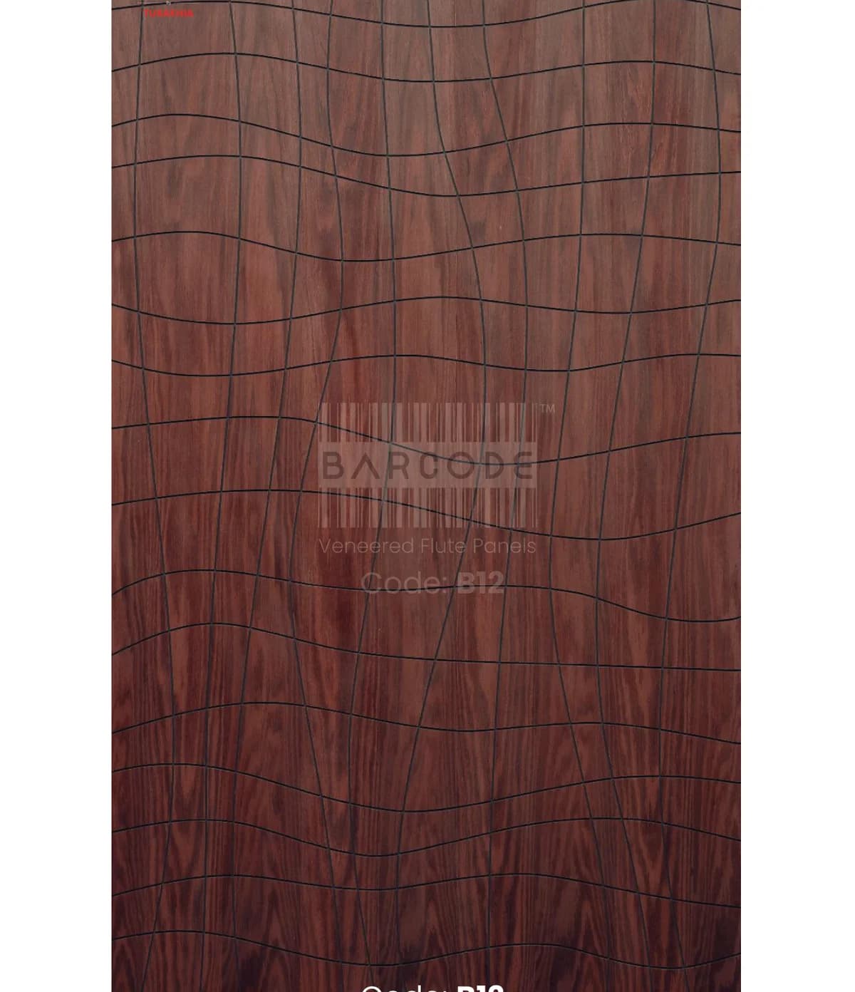 Barcode B12 main