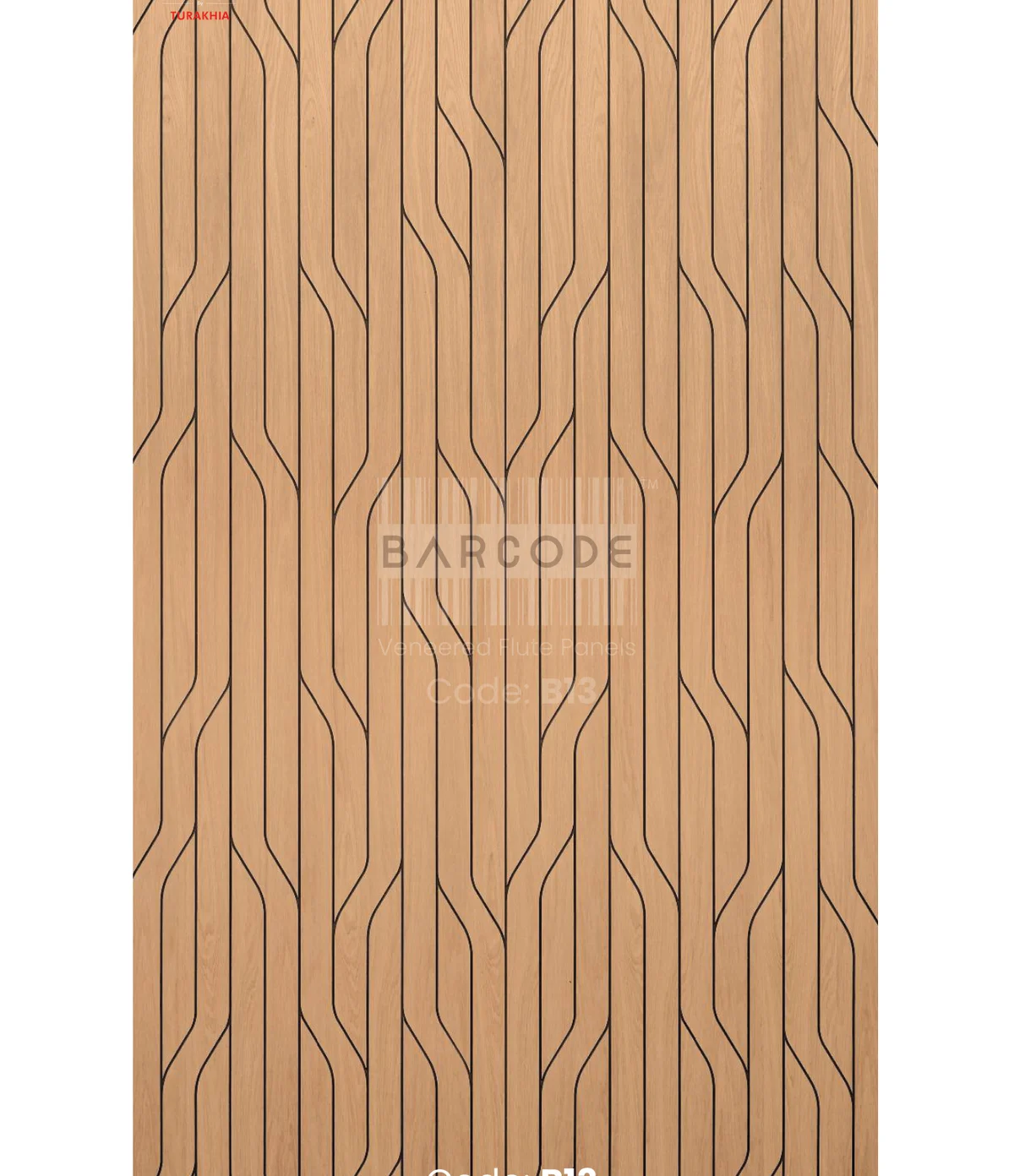 Barcode B13 main
