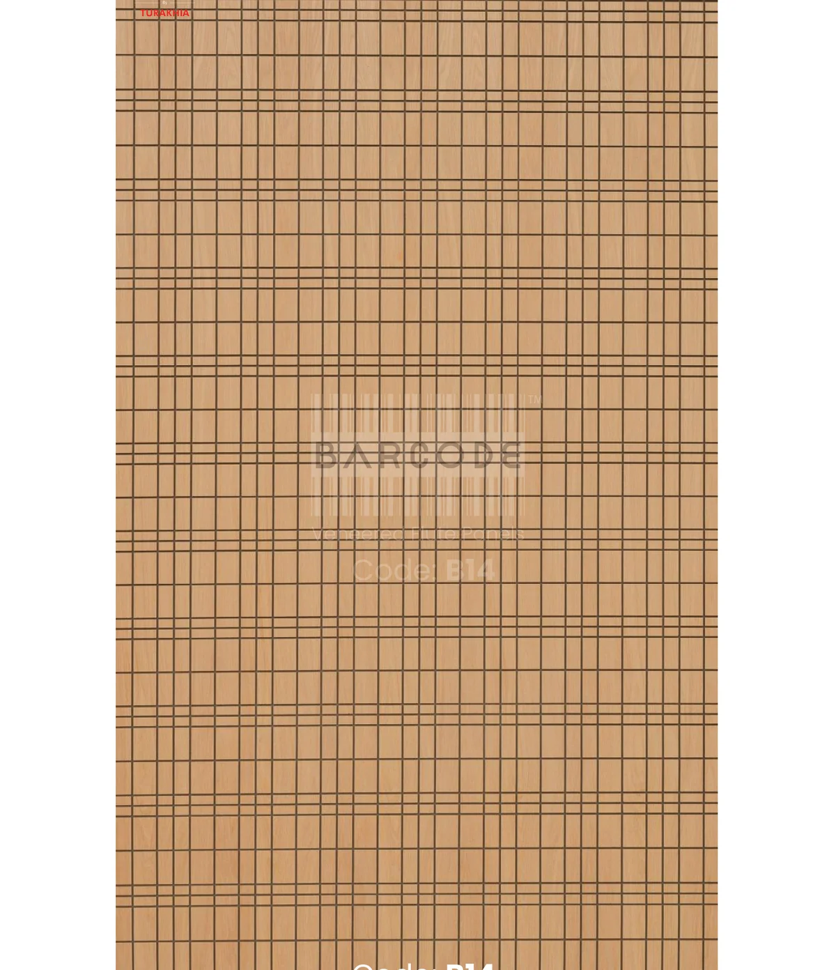 Barcode B14 main