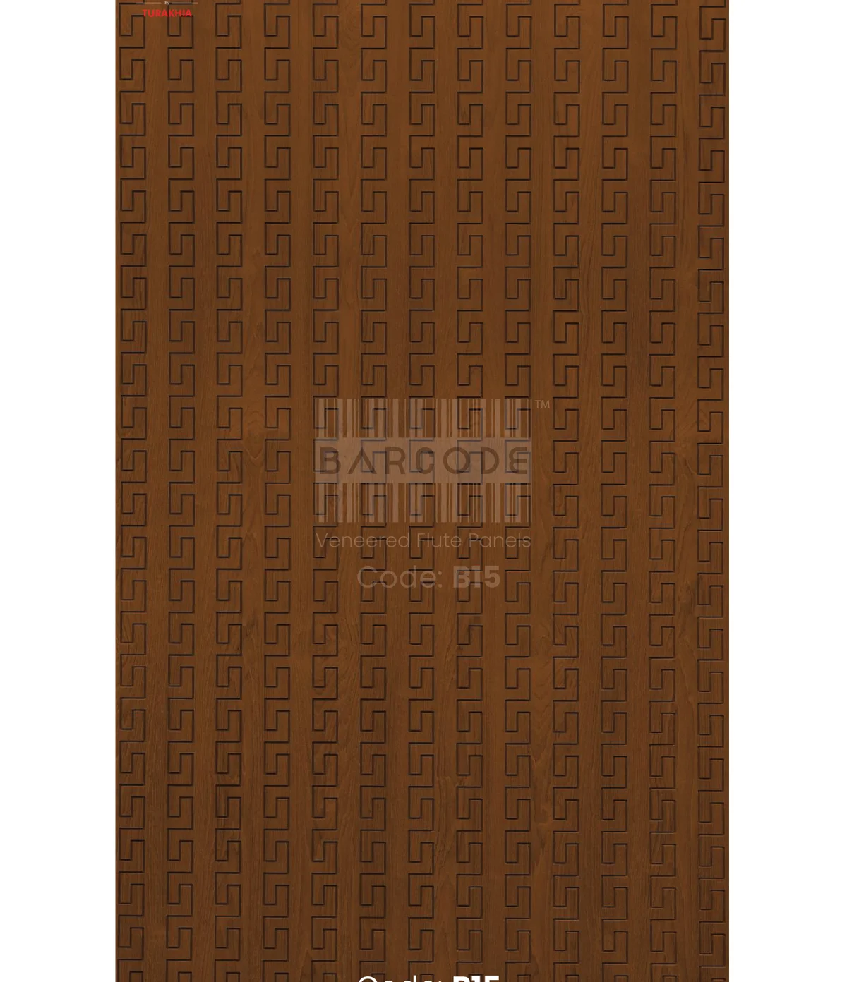 Barcode B15 main