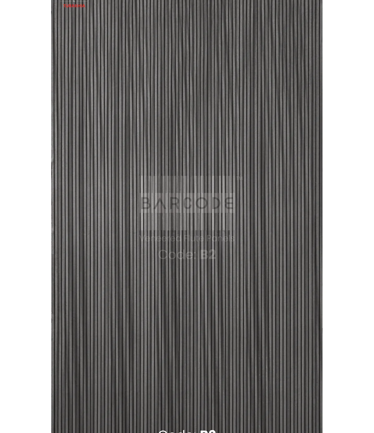 Barcode B2 main