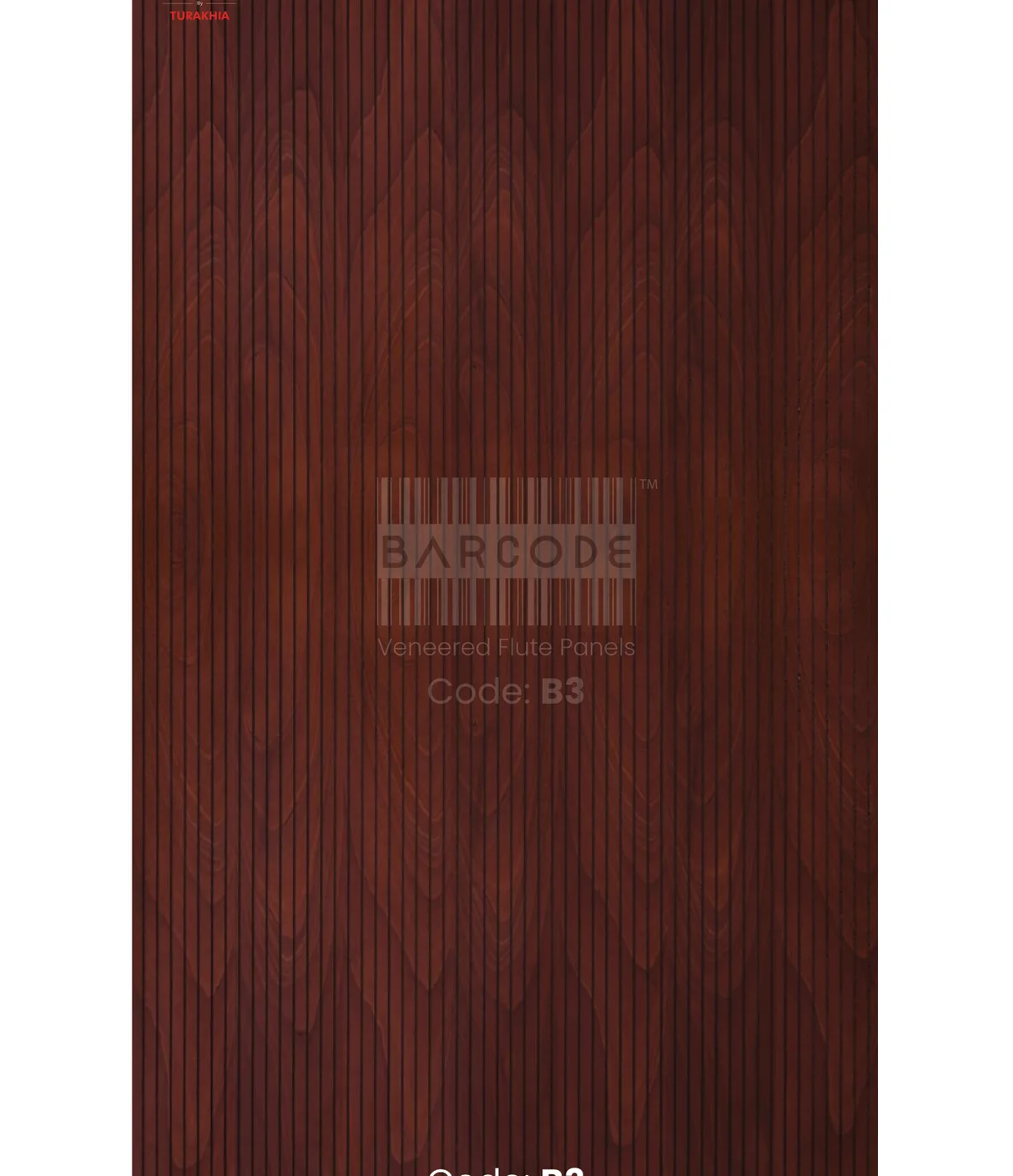 Barcode B3 main
