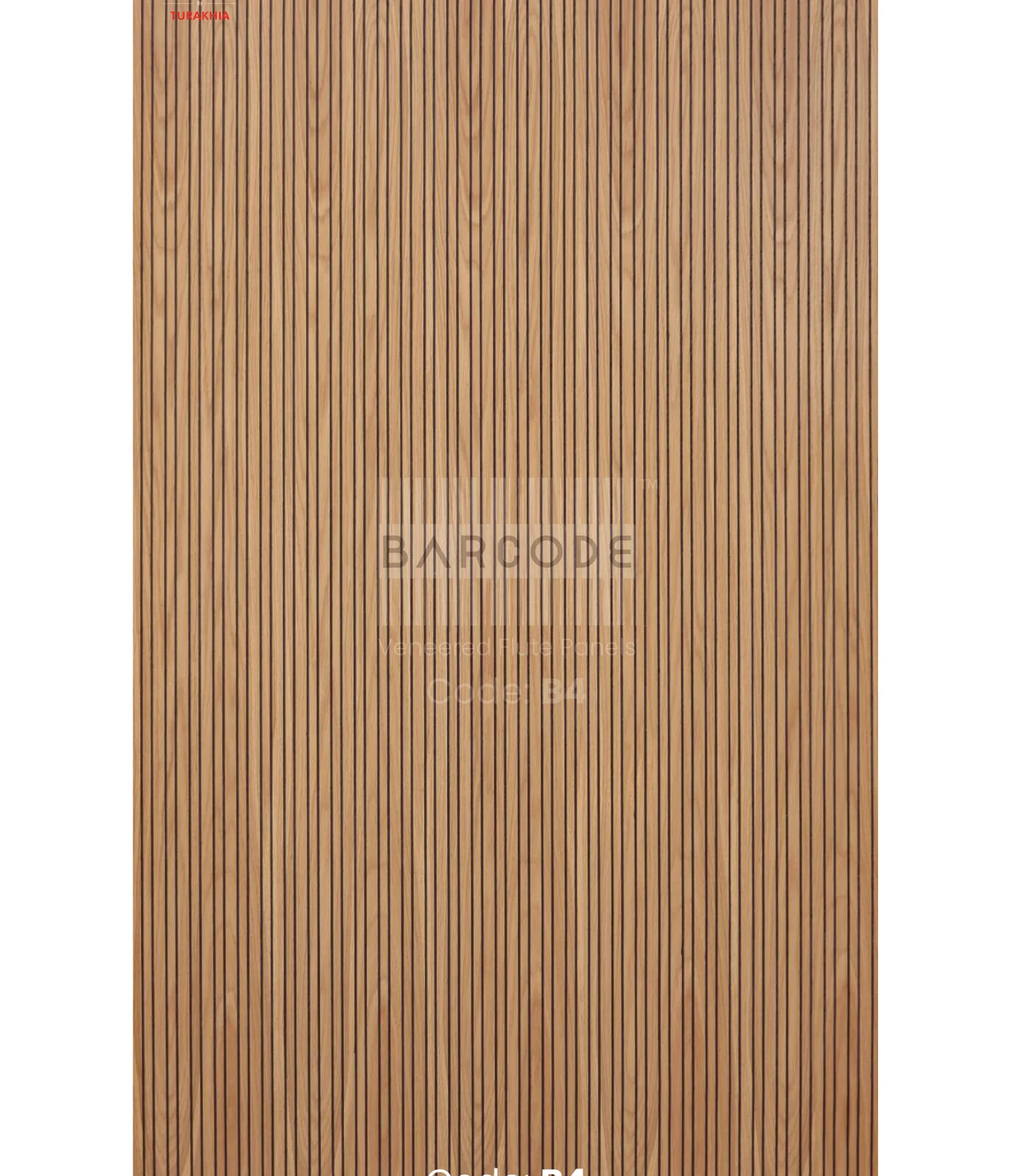 Barcode B4 main