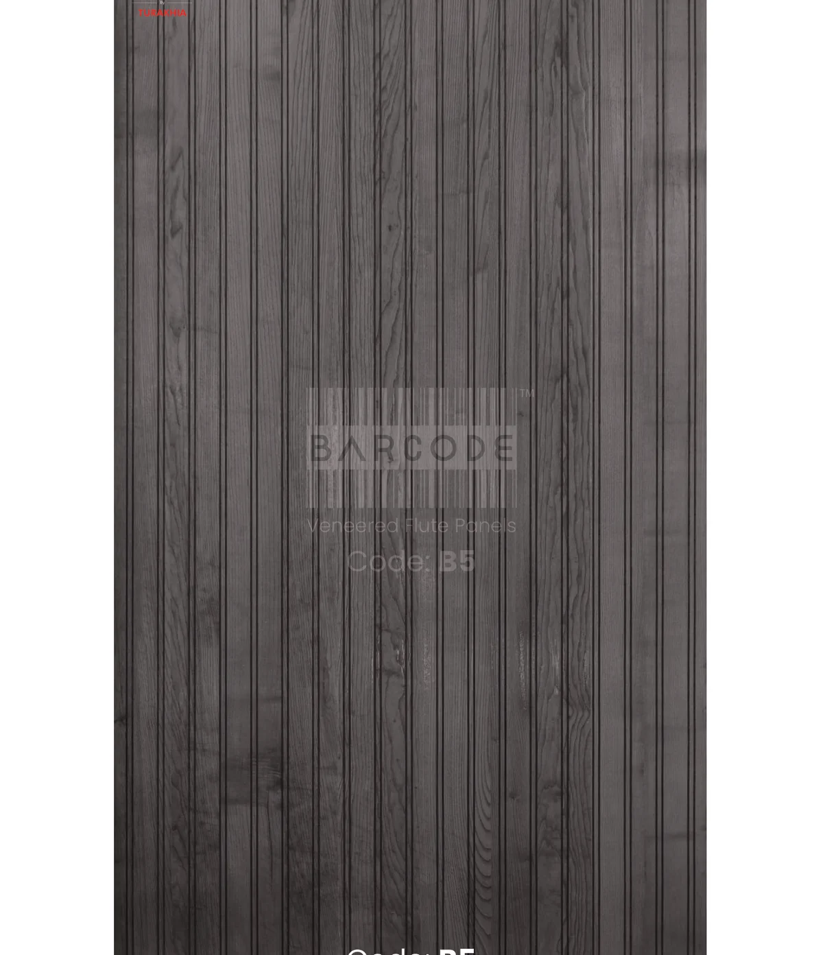 Barcode B5 main
