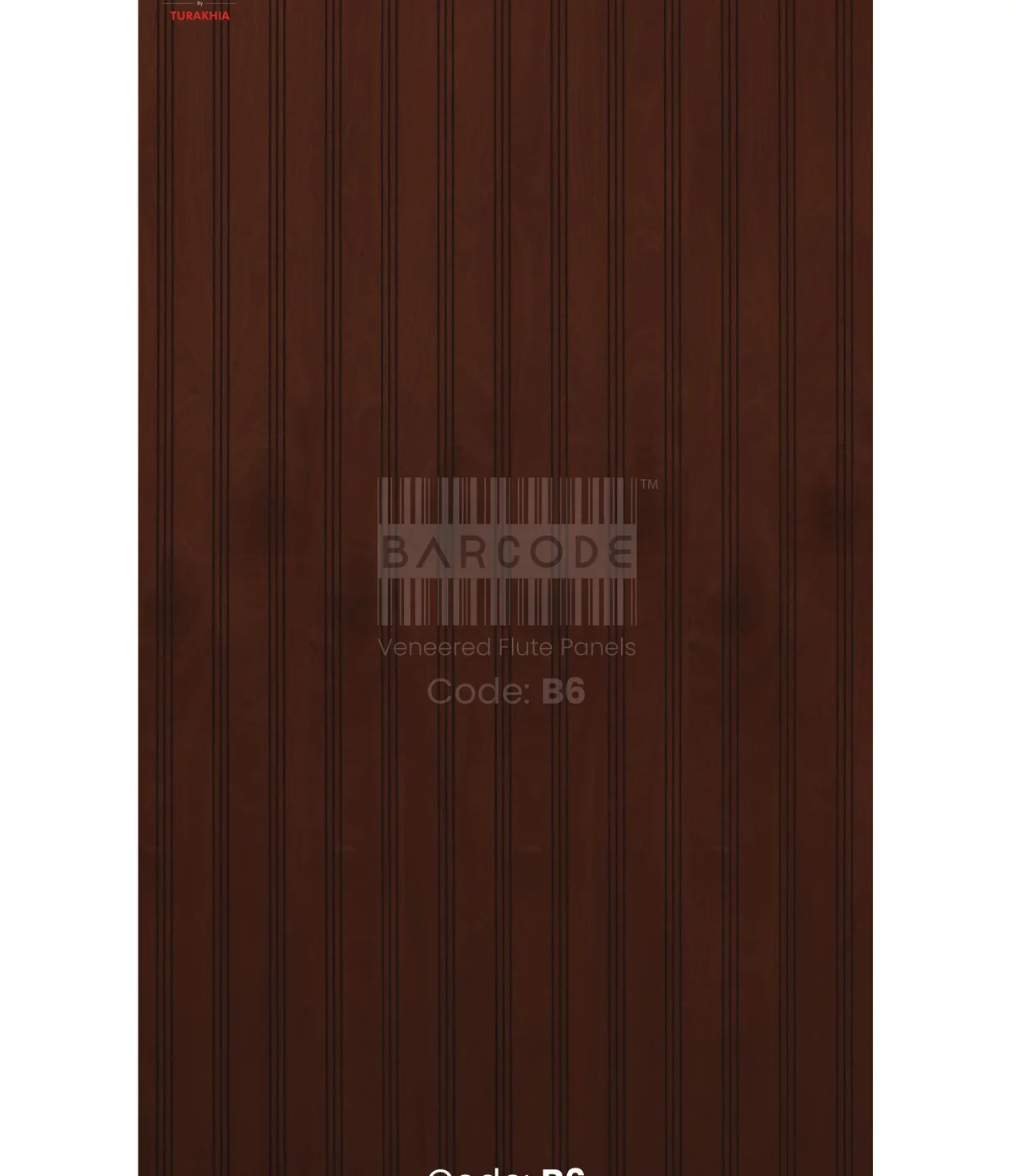 Barcode B6 main