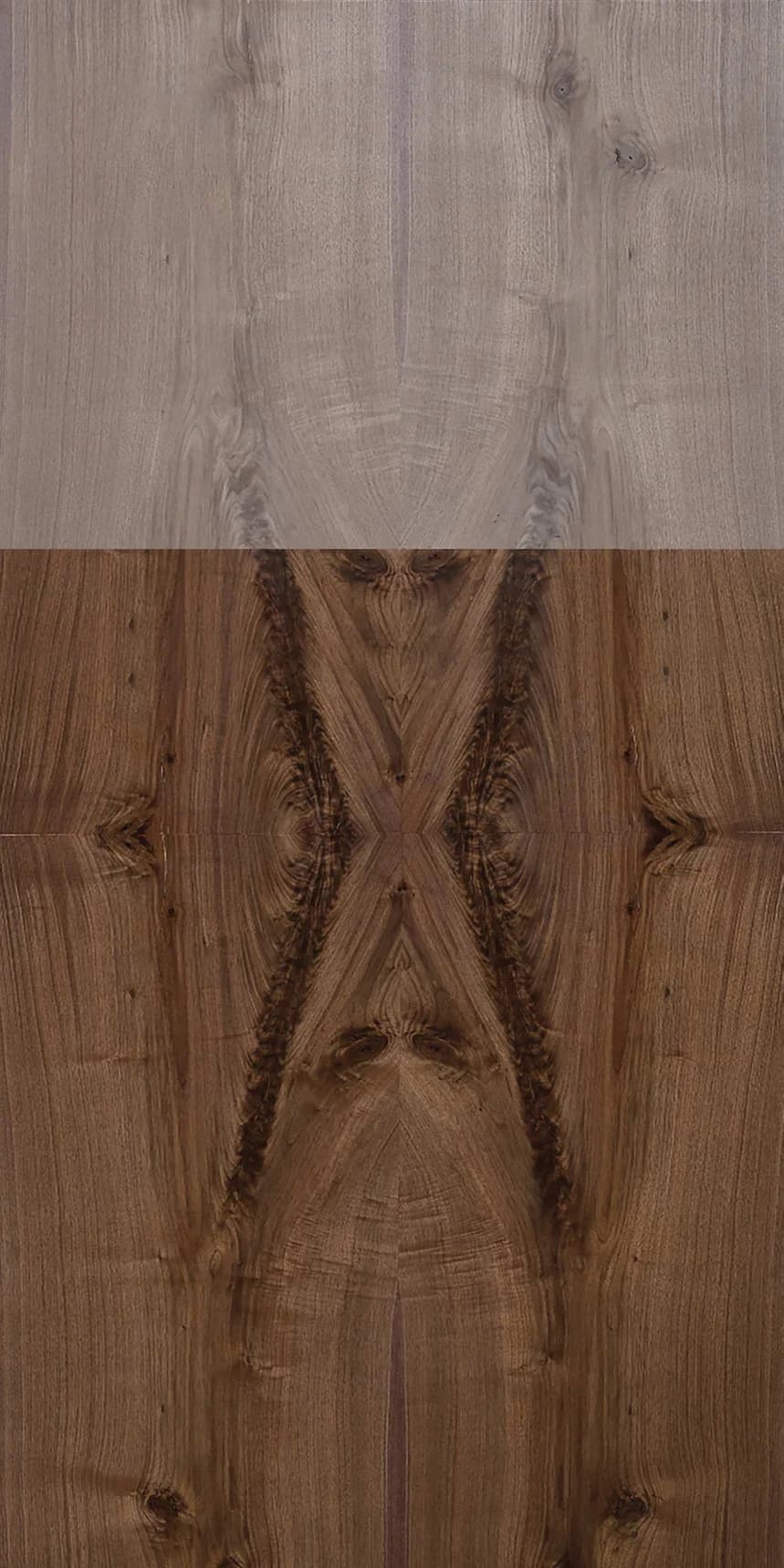 American Walnut Crotch main