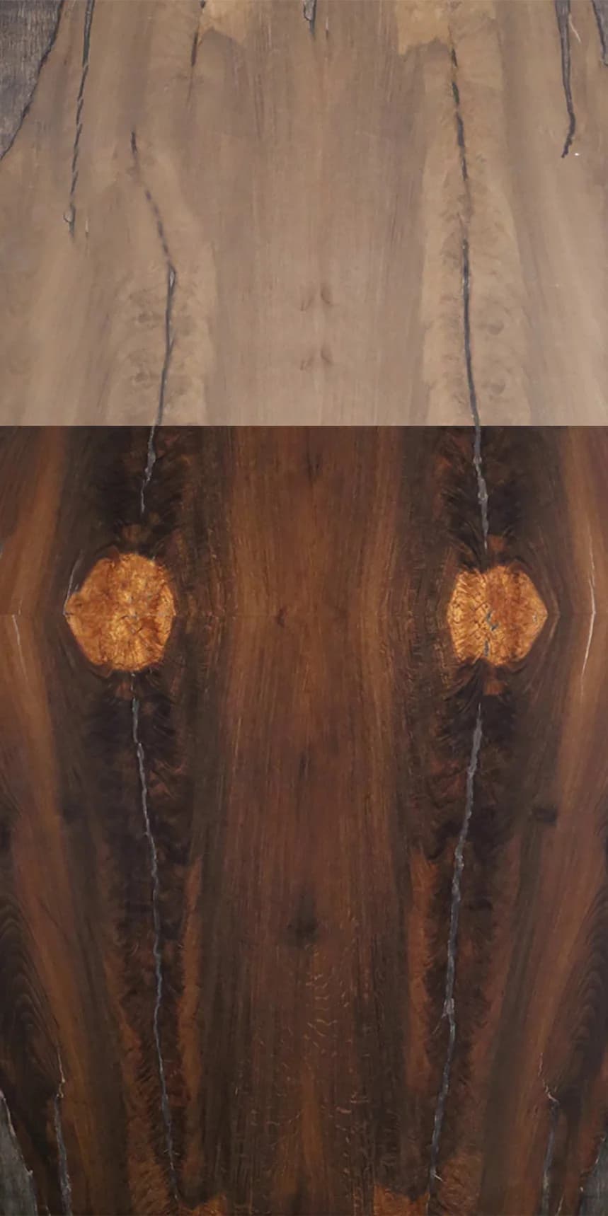 Bugged Oak Crotch main