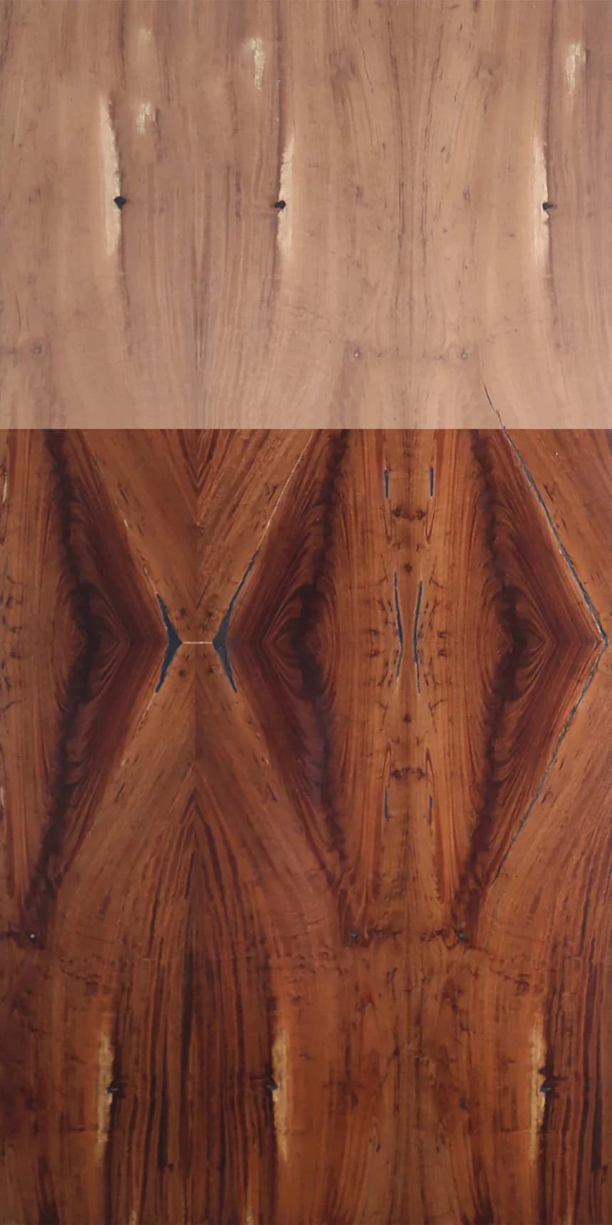 Cocobolo Crotch main