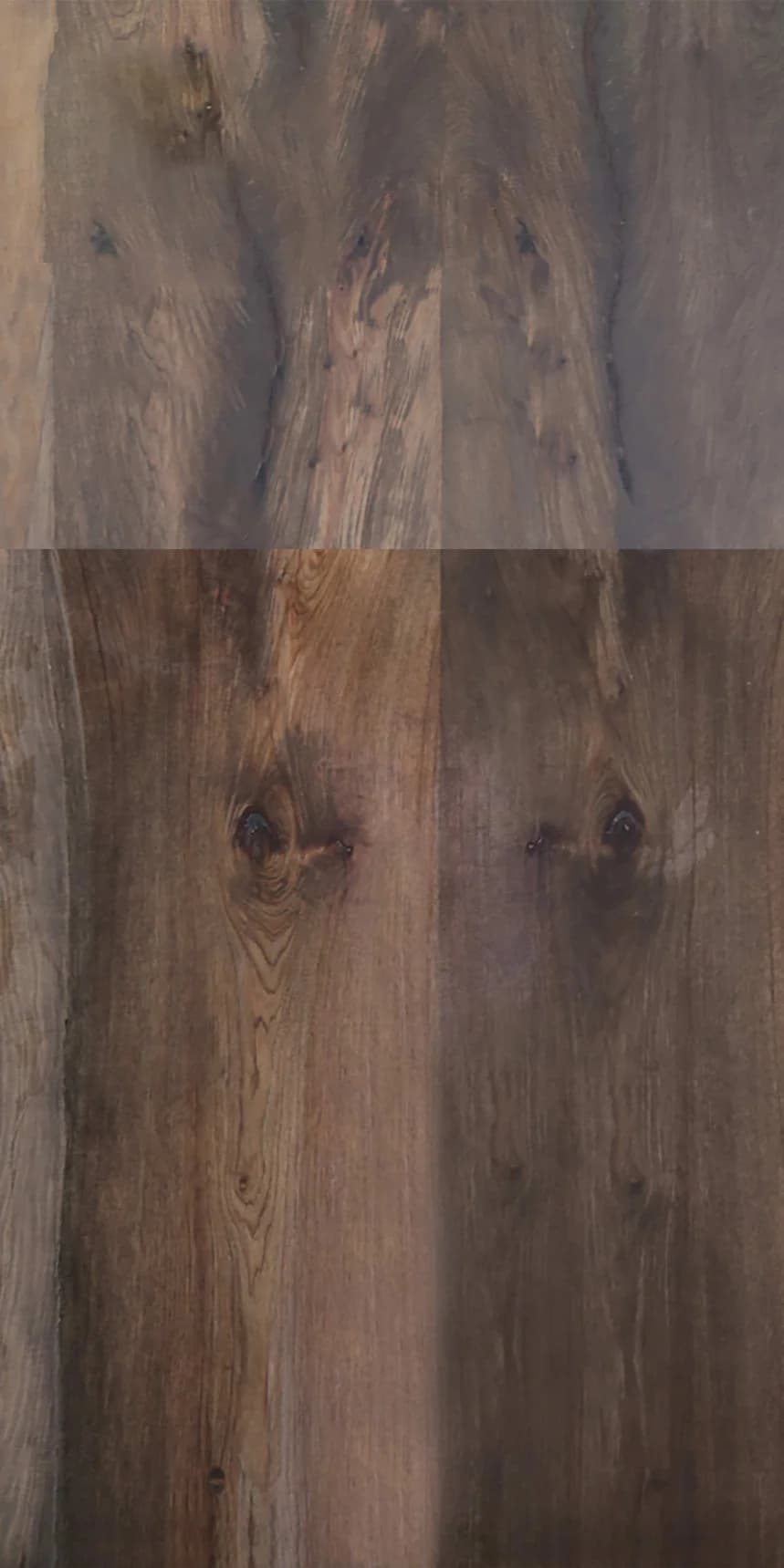 Elm Crotch Panello main