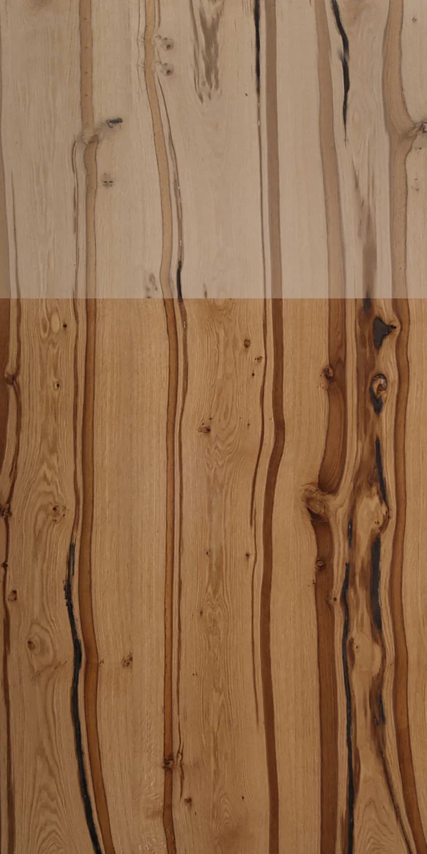 American White Oak main