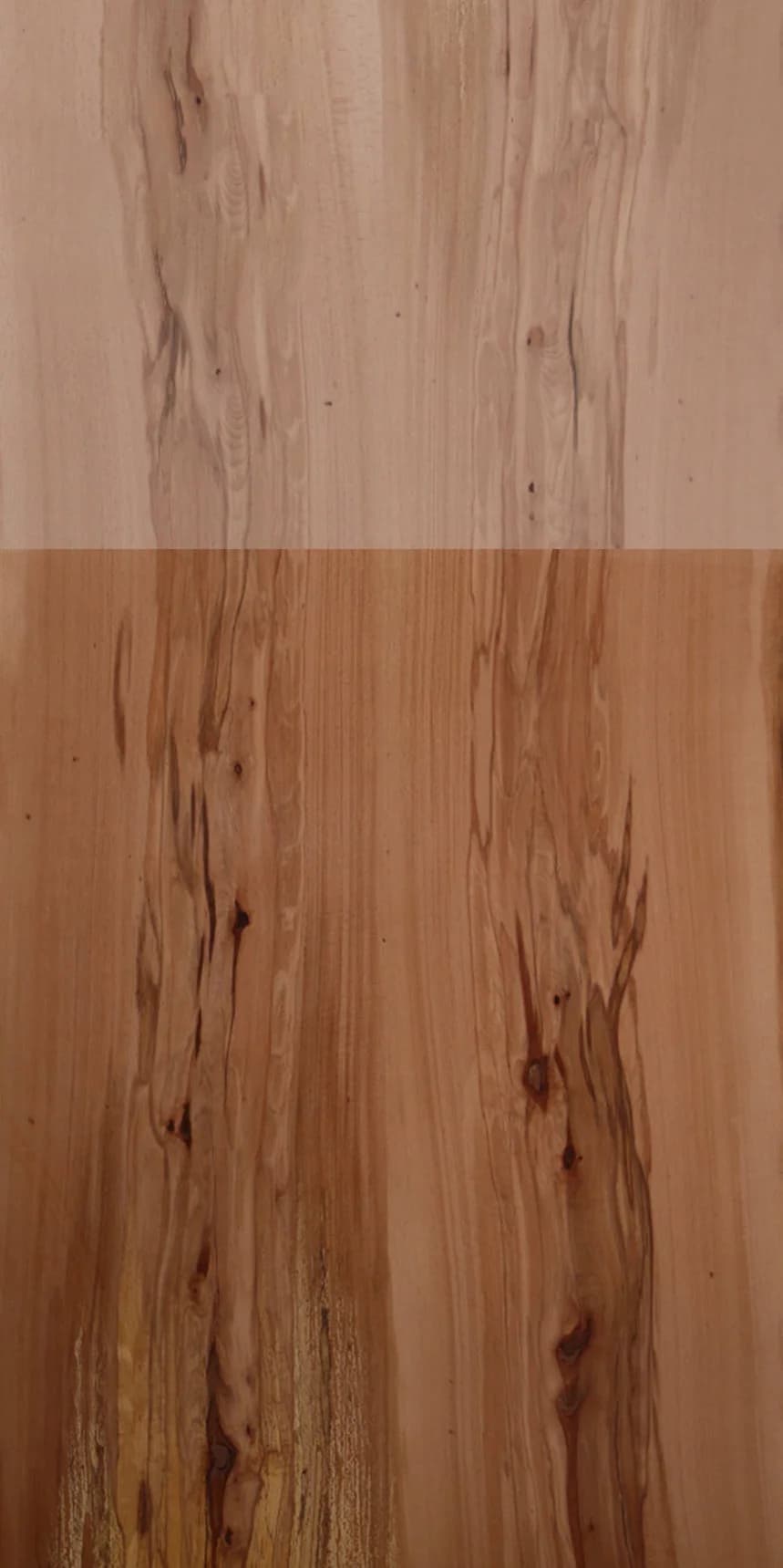 Spalted Beech main