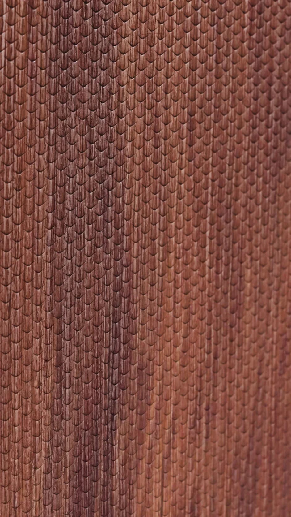 001 - Cocobolo main