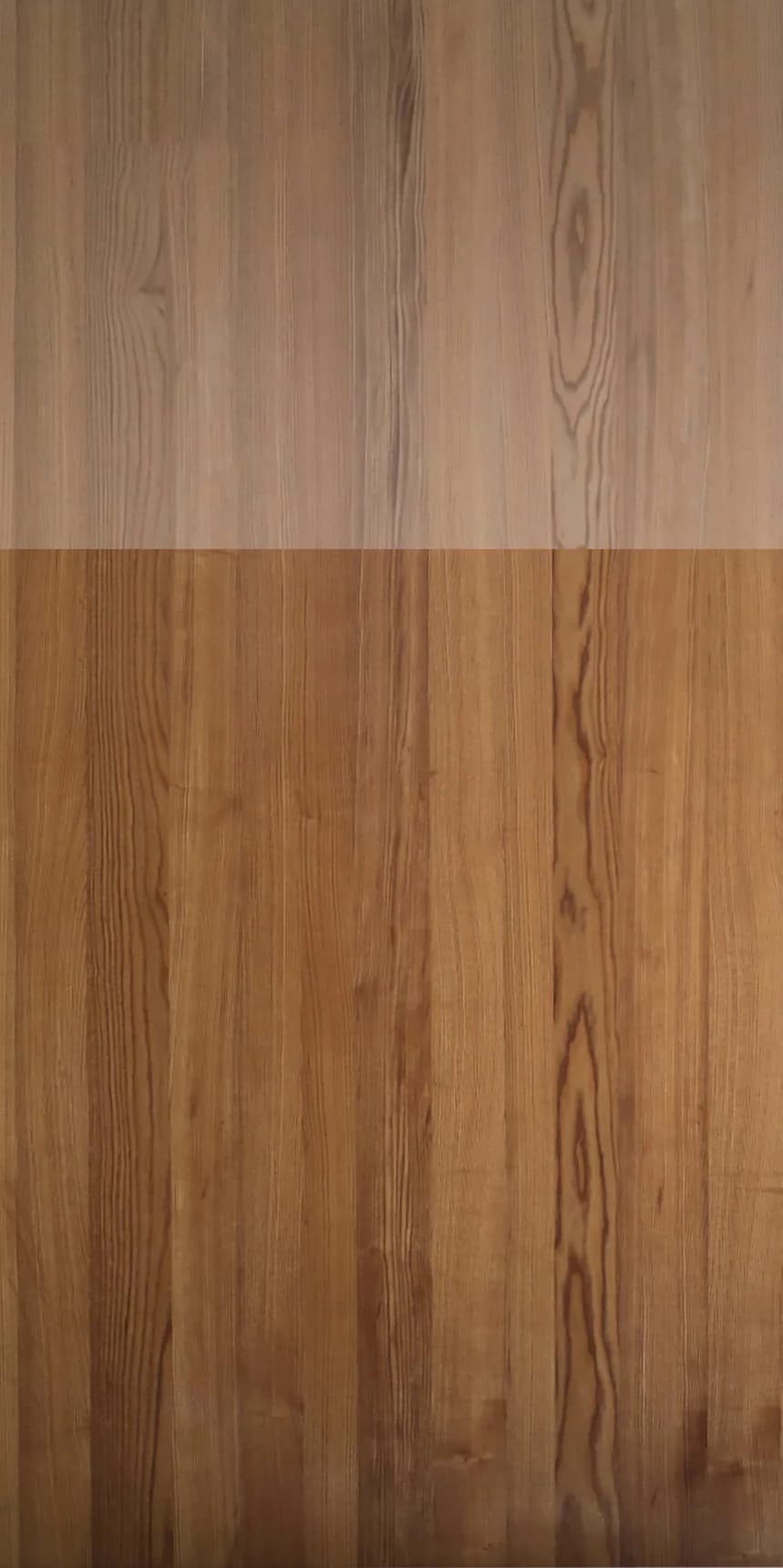 Bog Elm Panello main